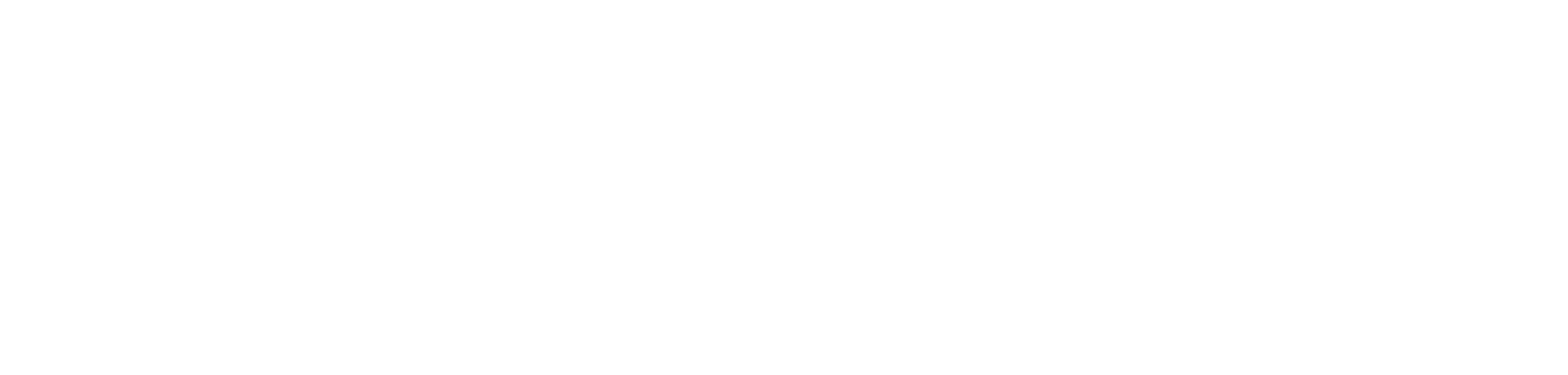 Băng Rôn Đông Đô